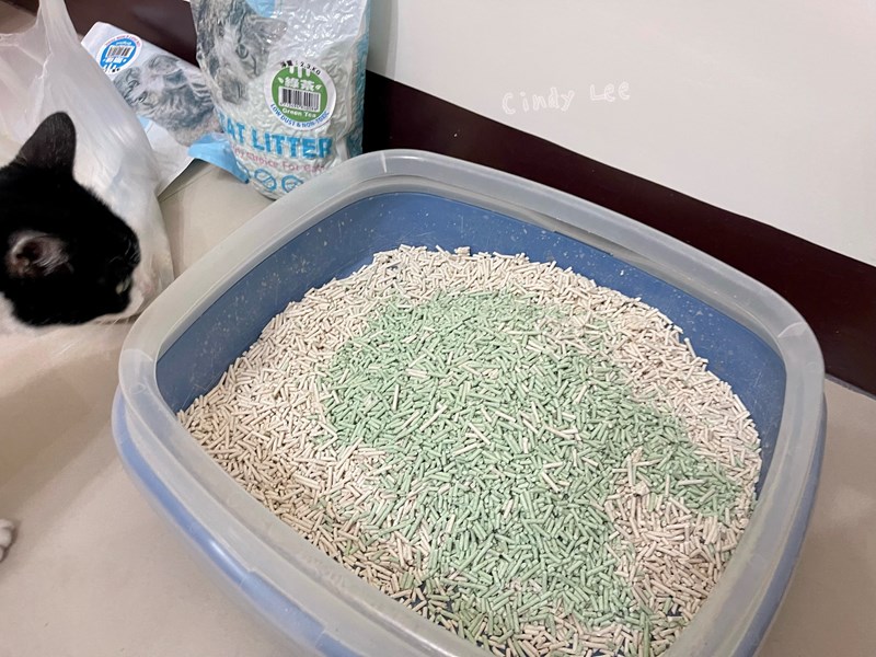 女人知己試用大隊,口碑行銷,部落客行銷,PurreLand 倍淨豆腐貓砂,好市多購買,COSTCO購買,豆腐貓砂,PurreLand倍淨,低粉塵,易清理,可沖馬桶,提供絕佳的除臭與凝結力,豆腐貓砂評價,貓砂評價,使用心得,貓砂分享,好用,原味,綠茶,豆腐砂,水量需完全覆蓋貓砂,水量需貓砂的2~3倍以上,豆腐砂評價,高CP值,划算